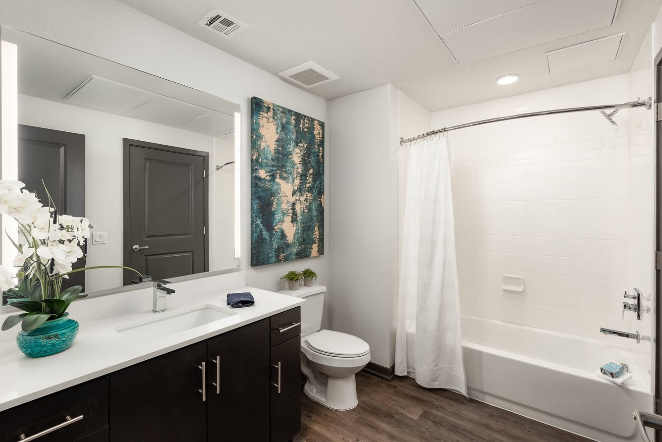 Norte Town Lake Apartments Apartments in Tempe